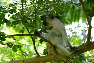 DSC_7914 (Large).JPG